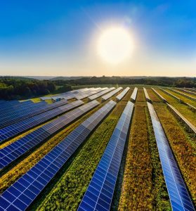 A large solar farm with rows of solar panels under a bright sun, representing the use of renewable energy sources to support sustainable IT and green computing practices.